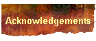 Acknowledgements