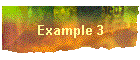 Example 3