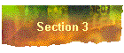 Section 3