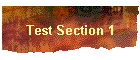 Test Section 1