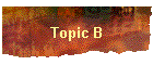 Topic B